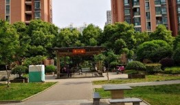 娱乐吃瓜酱花园,揭秘娱乐圈幕后故事